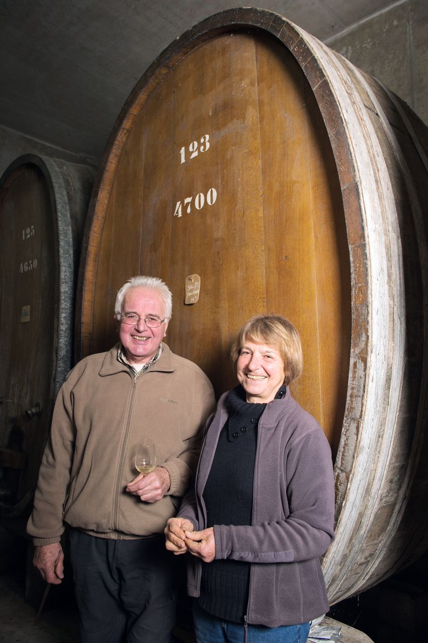 Vins Vigneron Luc et Sylvie BOILLEY – FREMIOT BoilleyFremiot-0008